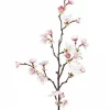 Kirsebærgren rosa flergrenet