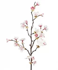 Kirsebærgren rosa flergrenet