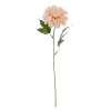 Sinnia rosa