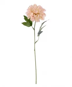 Sinnia rosa