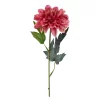 Sinnia rosa