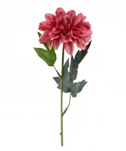 Sinnia rosa