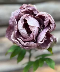 Maggie Peon lilla