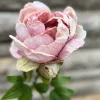 Maggie Peon rosa