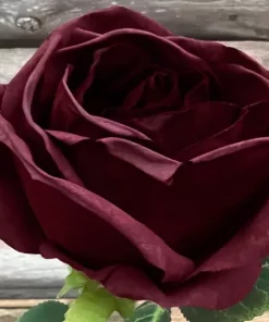 Rose tørket rød