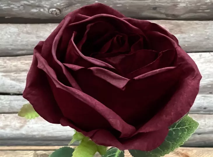 Rose tørket rød
