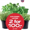 Multibuy: Krydder ulike sorter - 2 for 100,-