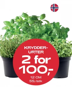 Multibuy: Krydder ulike sorter - 2 for 100,-