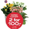 Multibuy: Ildtopp 11 cm - 2 for 100,-