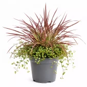 Sommerdekorasjon 23 cm