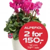 Multibuy: Alpefiol - 2 for 150