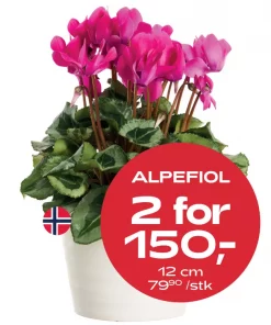 Multibuy: Alpefiol - 2 for 150