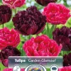 Perfect Partners Tulipa 'Garden Glamour' - Tulipan miks