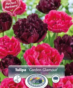 Perfect Partners Tulipa 'Garden Glamour' - Tulipan miks