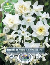Perfect Partners Narcissus 'White on White Blend' - Påskelilje miks