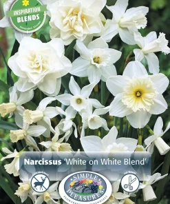 Perfect Partners Narcissus 'White on White Blend' - Påskelilje miks