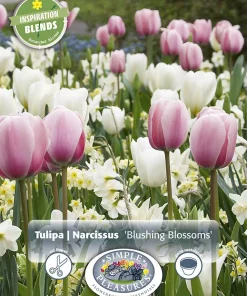 Perfect Partners 'Blushing Blossoms' - Tulipan & Påskelilje miks