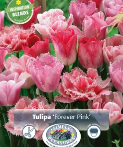Perfect Partners Tulipa 'Forever Pink' - Tulipan miks
