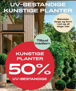 Medlemstilbud: Kunstige planter UV-bestandig