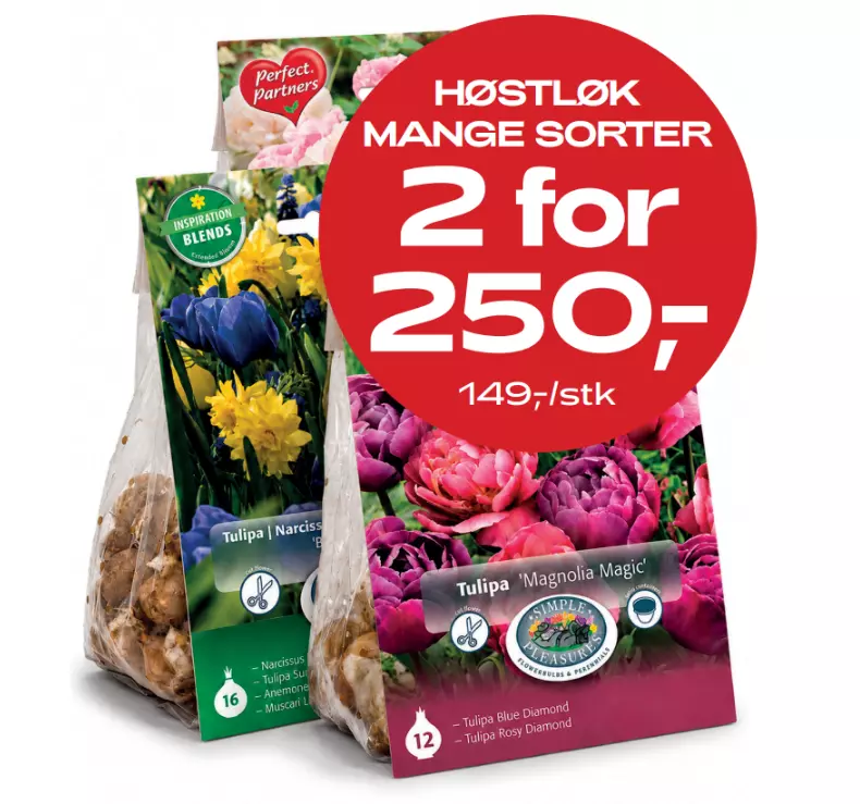 Multibuy: Høstløk Perfect Partners - 2 for 250.-