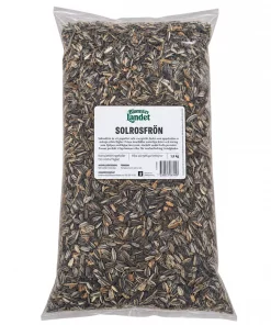 Solsikkefrø 1,5 kg stripete