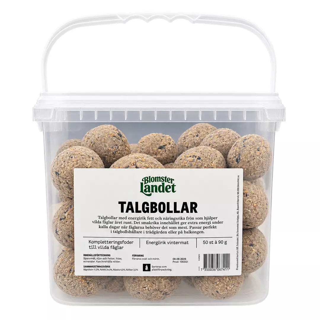 Meisebolle 50 pk