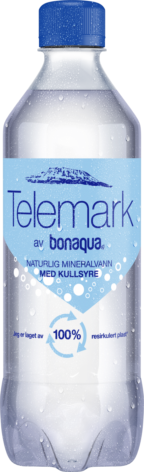 Telemark sparkling 0,5l