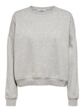 Only Sweat Life Ls Crew Neck Oversized