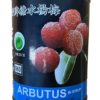 Arbutus in syrup