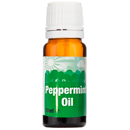 Peach Peppermint Oil 10ml x 12