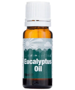 Peach Eucalyptus Oil 10ml x 12 - Ny Ankomst 21.08.24