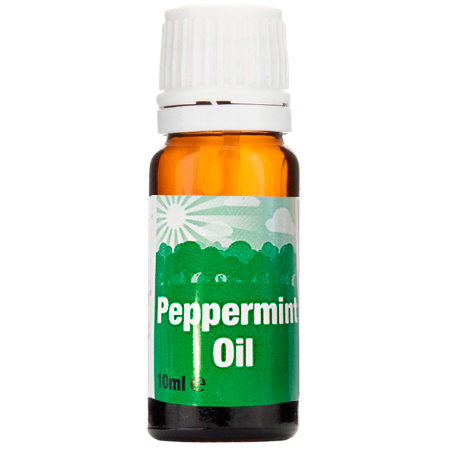 Peach Peppermint Oil 10ml x 12 - Ny Ankomst 26.05.25