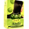Hesh Amla Powder 100g x 10