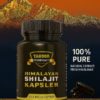 Shilajit Himalayan 60 kapsler x 1