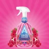 Astonish Surface Cleaner Pomegranate & Raspberry Spray 750ml x 12