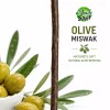 Miswak Olive (1 x 90pcs)