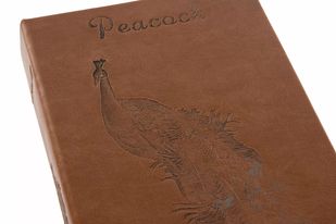peacock fake book storage