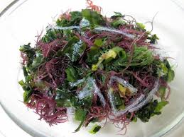 Seaweed Kaiso Mix 100g, Nihon Shokken