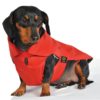 Fashion Dog Regndekken til Dachs med avtagbart fôr, Rød | Flere størrelser (33-47)