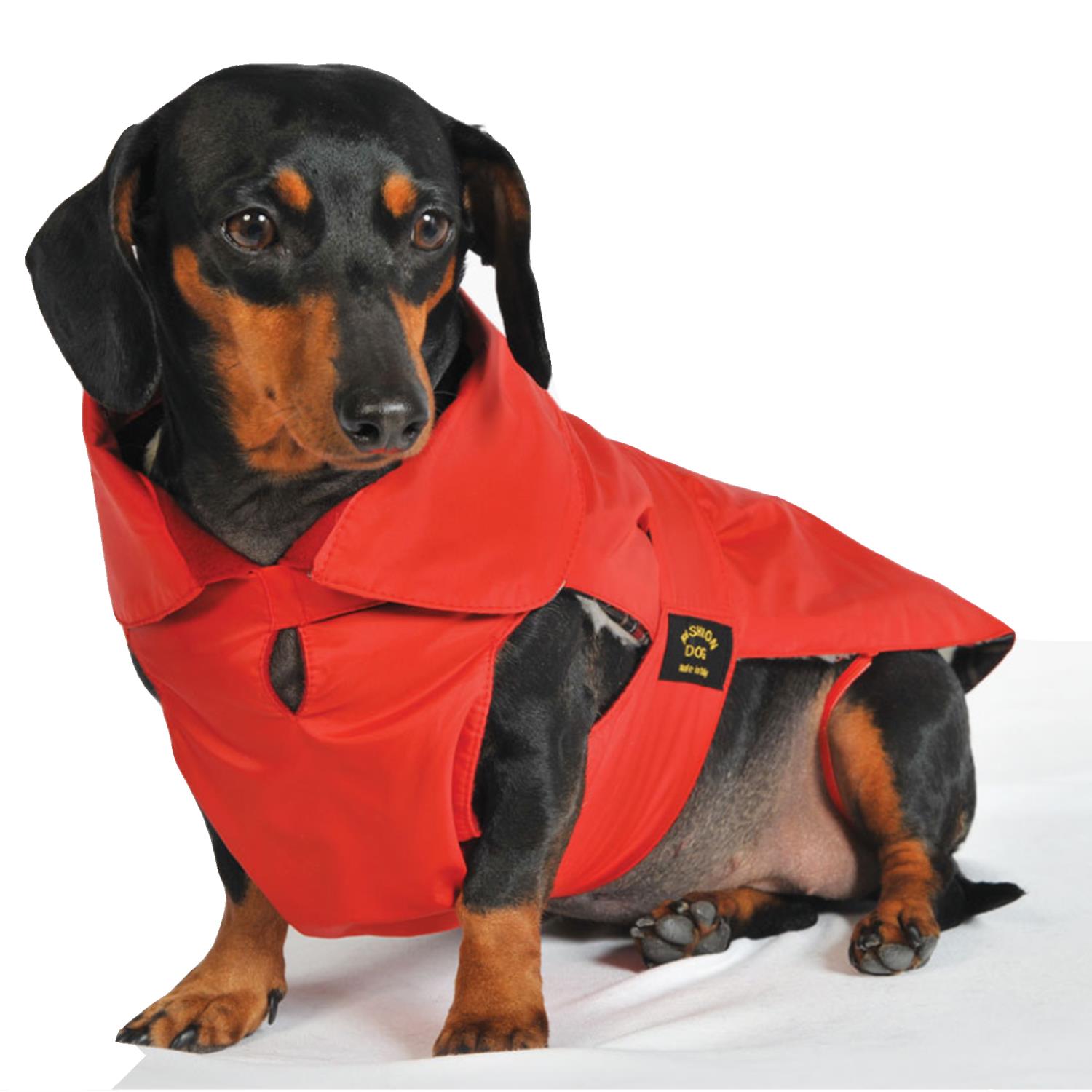 Fashion Dog Regndekken til Dachs med avtagbart fôr, Rød | Flere størrelser (33-47)