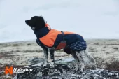 Non-Stop Glacier Jacket , orange/blue Flere størrelser (24-36) U