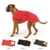 Fashion Dog Regndekken til Boxer med avtagbart fôr, Brun | Flere størrelser (60-65)  U