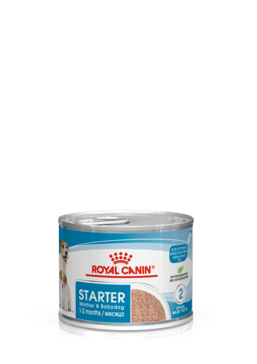 Royal Canin Mother & Babydog Starter Mousse 12x195 g