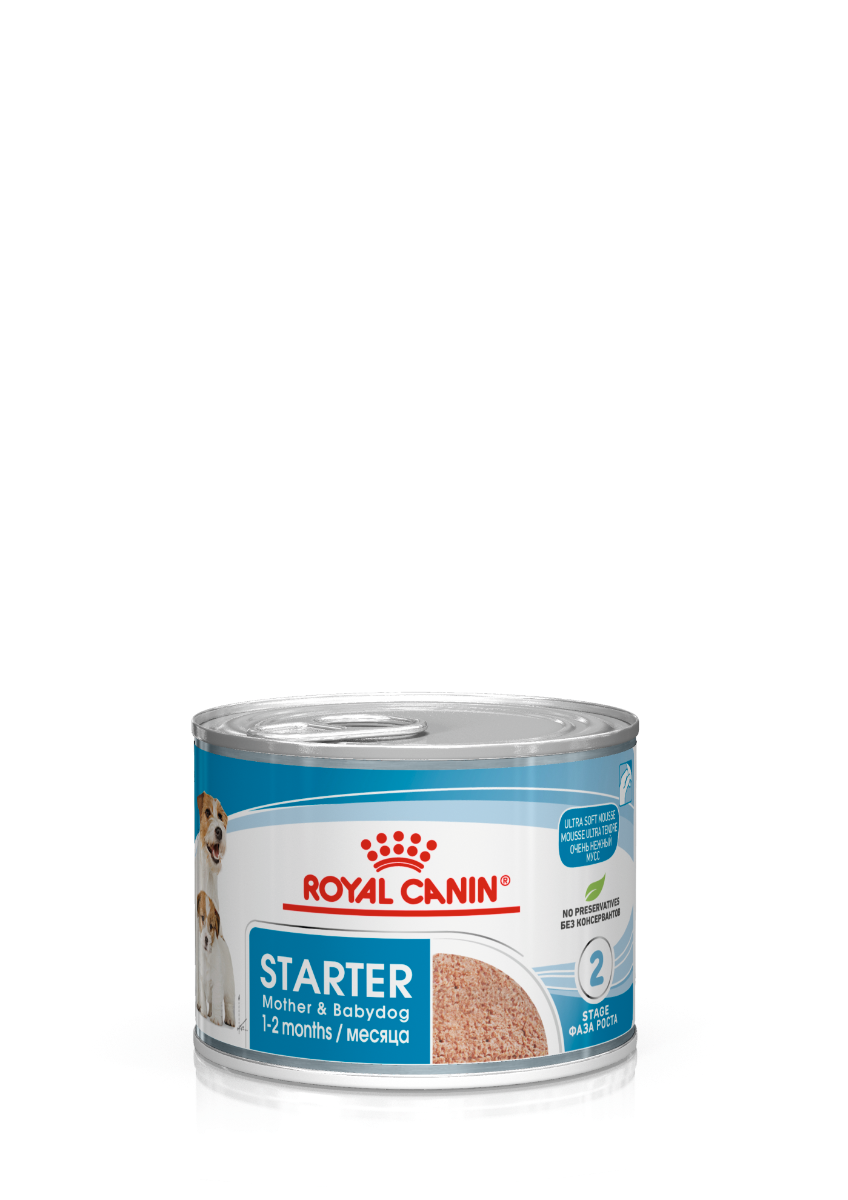 Royal Canin Mother & Babydog Starter Mousse 195g