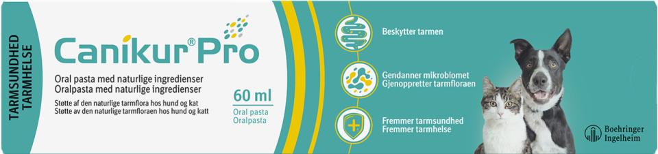 Canikur Pro 60ml, pasta