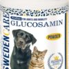 Glucosamin 100 g