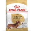 Royal Canin Dachshund Adult 7,5 kg X
