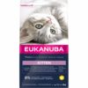 Eukanuba Kitten Healthy Start 10 kg