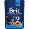 Brit premium cat pouches with chicken kitten, 100g
