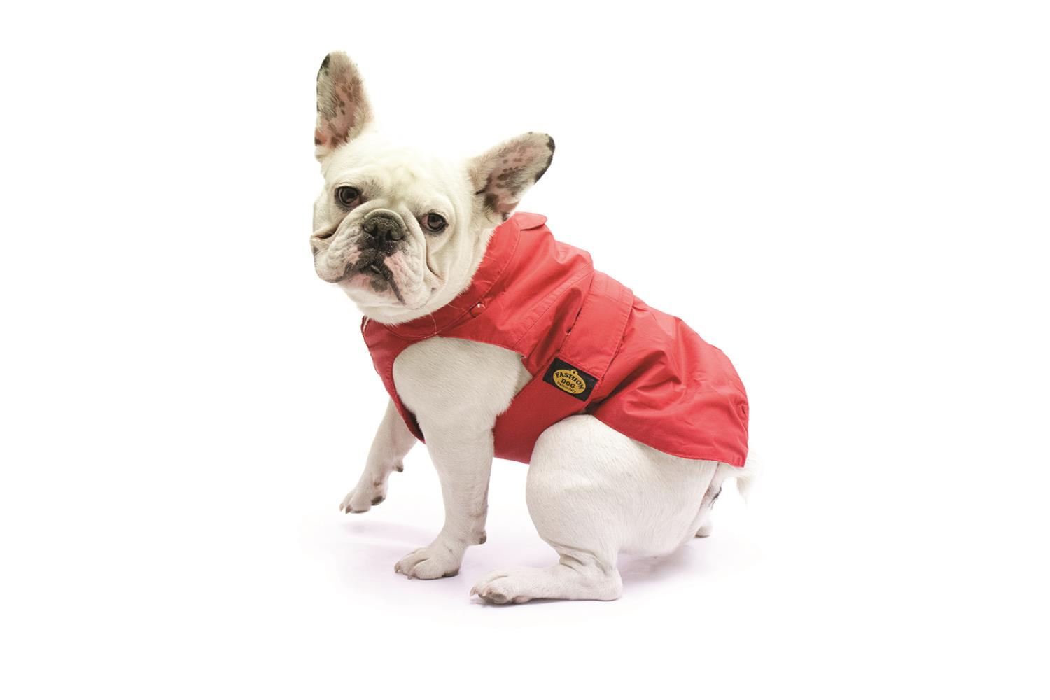Fashion Dog Regndekken til Fransk Bulldog/Mops(Pug) m.Avtagbart fôr, Sort | Flere størrelser (36-47)